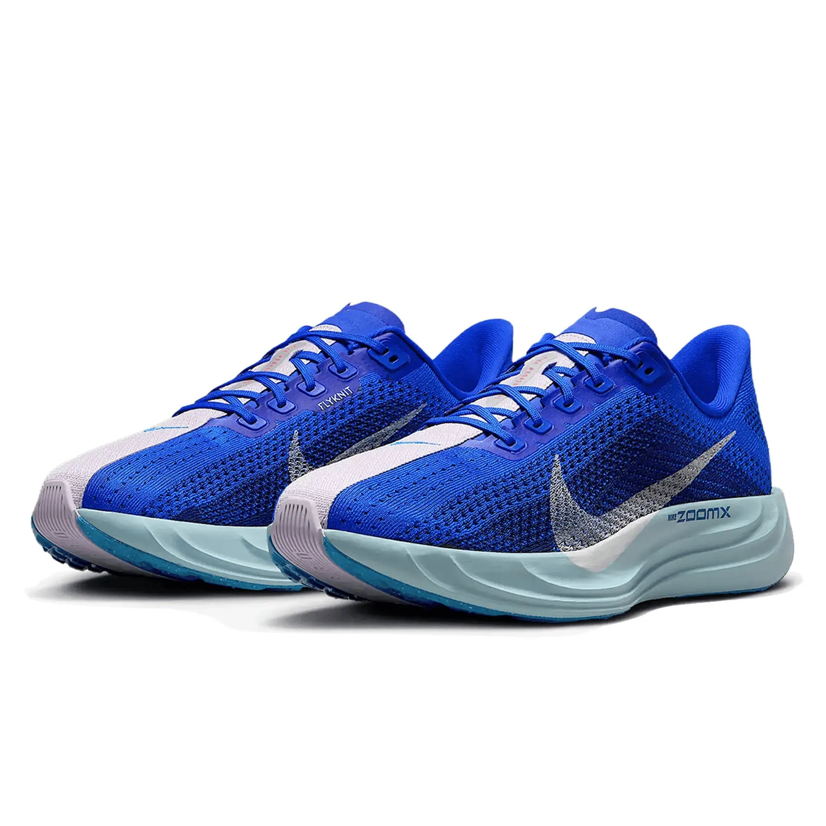 Mens Nike Pegasus Plus CM